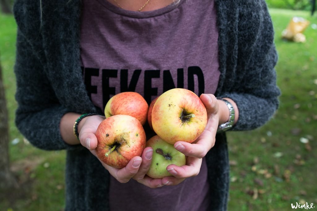 Plaattaart maken van appels